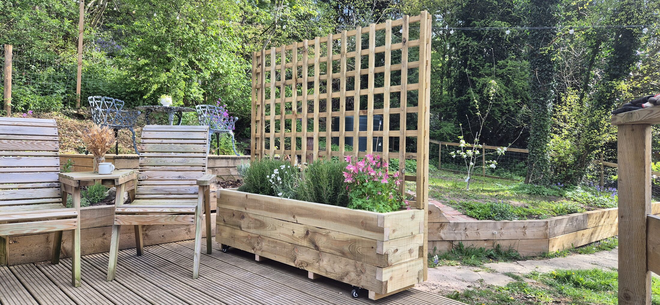 HEWN handmade trellis privacy planter on a North Wales garden deck, planted with rosemary and pink columbine